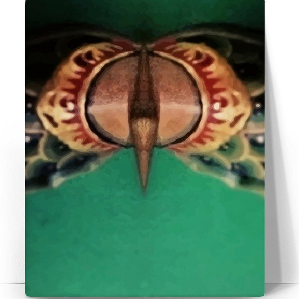Compass 24x30 Canvas Print