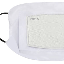 Load image into Gallery viewer, Spring 22 Face Mask with Filter Element