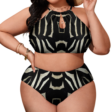 Custom Plus Size Women's Two Piece Swimsuit Stylish Bikini Suits