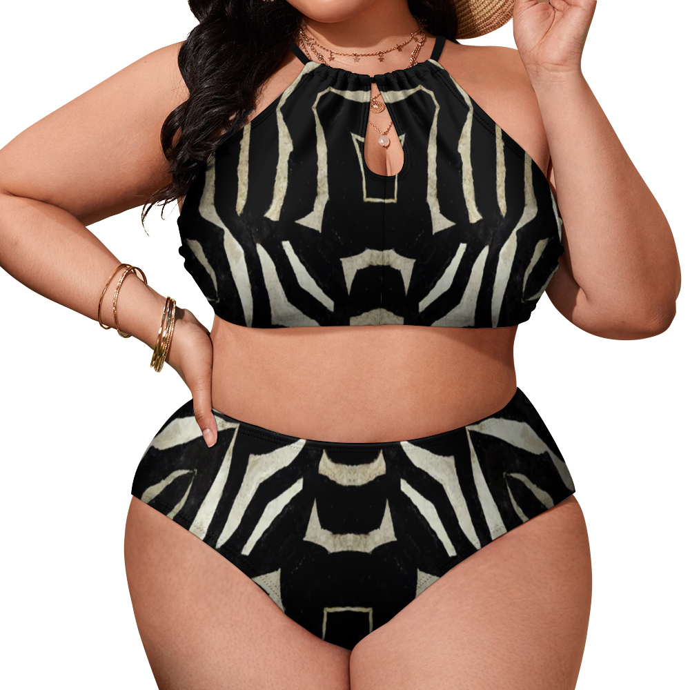 Custom Plus Size Women's Two Piece Swimsuit Stylish Bikini Suits
